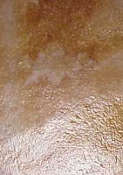 Arizona Flagstone with 2 application of Porous Stone Sealer